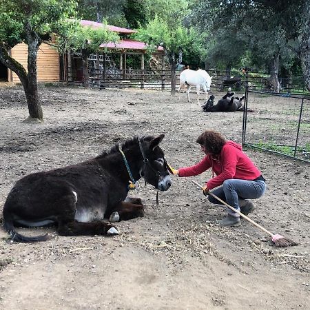 Lavacolhos Quinta Do Ragalヴィラ エクステリア 写真