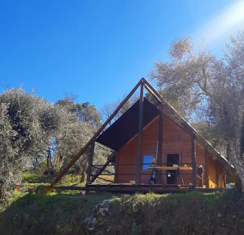 Lavacolhos Quinta Do Ragalヴィラ エクステリア 写真
